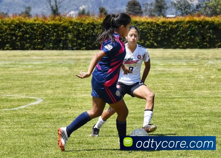 App Interface Preview