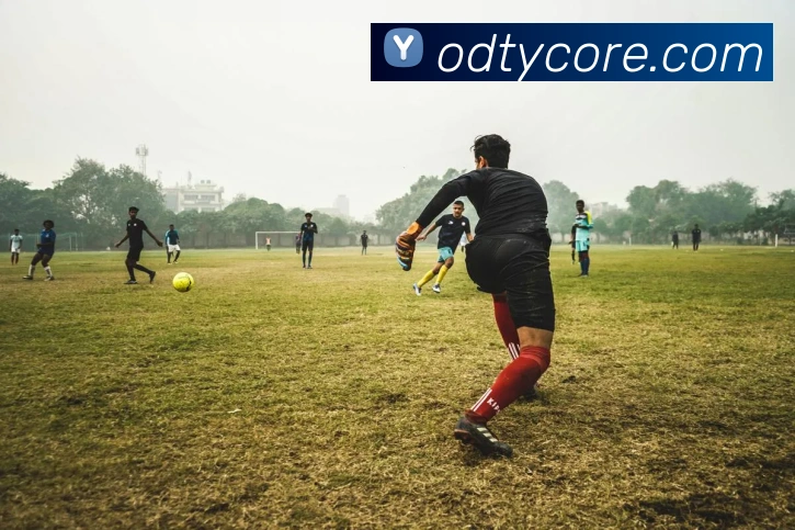 OD体育APP 封面图